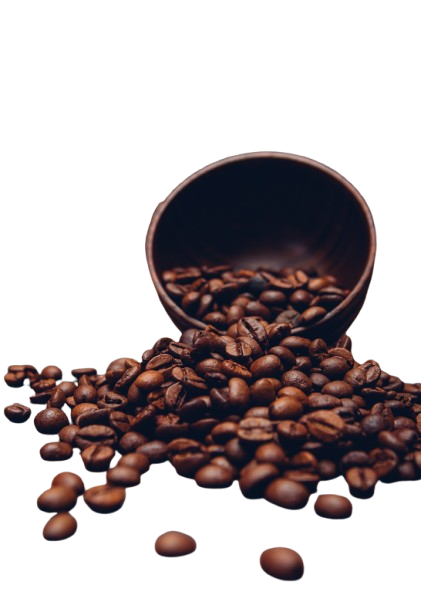 Fresh groceries in a paper bag